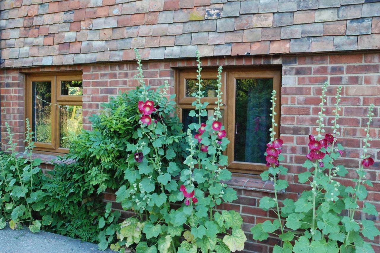 Hollyhock Cottage Ashford  Esterno foto